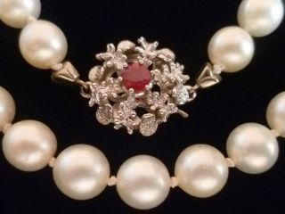 1 Tag Wunderschöne Perlenkette Mit 585er - Weißgoldverschluss Mit Rubin,  Nachlass Bild