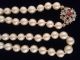 1 Tag Wunderschöne Perlenkette Mit 585er - Weißgoldverschluss Mit Rubin,  Nachlass Ketten Bild 1