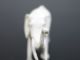 Antike Elefant Figur,  Skulptur,  Aus Bein,  Weiß,  Um 1900,  Handarbeit Beinarbeiten Bild 4