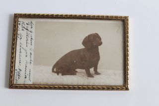 Vintage Bild Bilderrahmen Messing Dackel Antik Hund Foto 20er 30er Alt 1930 Bild