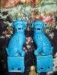 Antique Foo Dog TempelwÄchter Porcelain Porzellan TÜrkis China 20.  Jh. Entstehungszeit nach 1945 Bild 8