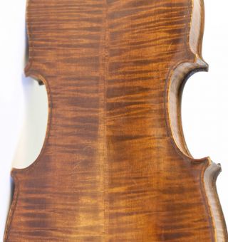 Alte Schöne Deutsche Geige Violine Violino Old Violin Violon Hopf Bild