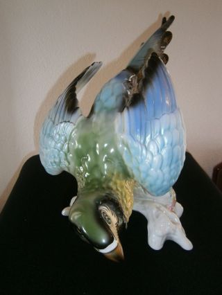 Großer Imposanter Blauer Ara Papagei Porzellanvogel Figur Prima Bild