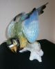 Großer Imposanter Blauer Ara Papagei Porzellanvogel Figur Prima Figuren Bild 4