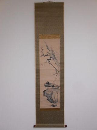 N100 Antik Rollbild Kakejiku China? Japan? Bird 雁 W/box Bild