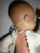Antike SchildkrÖt Puppe Nr.  16 16cm True Vintage Doll Schildkröt Bild 6