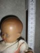 Antike SchildkrÖt Puppe Nr.  16 16cm True Vintage Doll Schildkröt Bild 7
