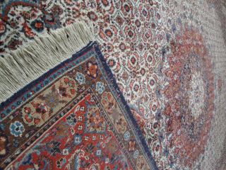 Perser Teppich Bild
