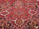Alter Orient Teppich Beige Rot 322 X 261 Cm Perserteppich Old Red Carpet Tappeto Teppiche & Flachgewebe Bild 7