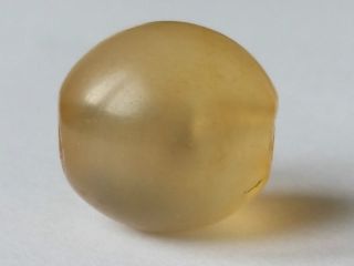 13mm Ancient Rare Western Asian Agate Bead Bild