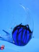 Murano - Scalar - Fisch - Sommerso - Blau Mit Schwarzen Faden - 23 Cm Glas & Kristall Bild 1