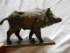 Wildschwein Keiler Schwein Bronze Skulptur Bronzefigur Vollplastisch Top Jagd & Fischen Bild 1