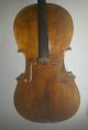 Cello Violoncello Violin Zettel Georg Winterling Fecit Hamburg Anno 1923 Saiteninstrumente Bild 1