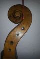 Cello Violoncello Violin Zettel Georg Winterling Fecit Hamburg Anno 1923 Saiteninstrumente Bild 4