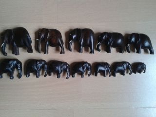 12 Elefanten Unterschiedlicher Größe; Aus Holz Gefertigt; Holzart Unbekannt Bild