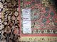 100 Handgeknüpfter Kaschmir Seide Palast Teppich Rug Tappeto Tapies,  Silk Teppiche & Flachgewebe Bild 1
