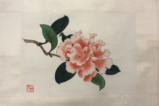 Rollbild Malerei Auf Papier Päonie,  Künstler - Siegel,  China,  Volksrepublik Zeit Bild