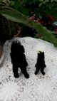 2 Alte Schwarze Katzen Von Steiff Steiff Bild 3