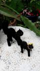 2 Alte Schwarze Katzen Von Steiff Steiff Bild 4