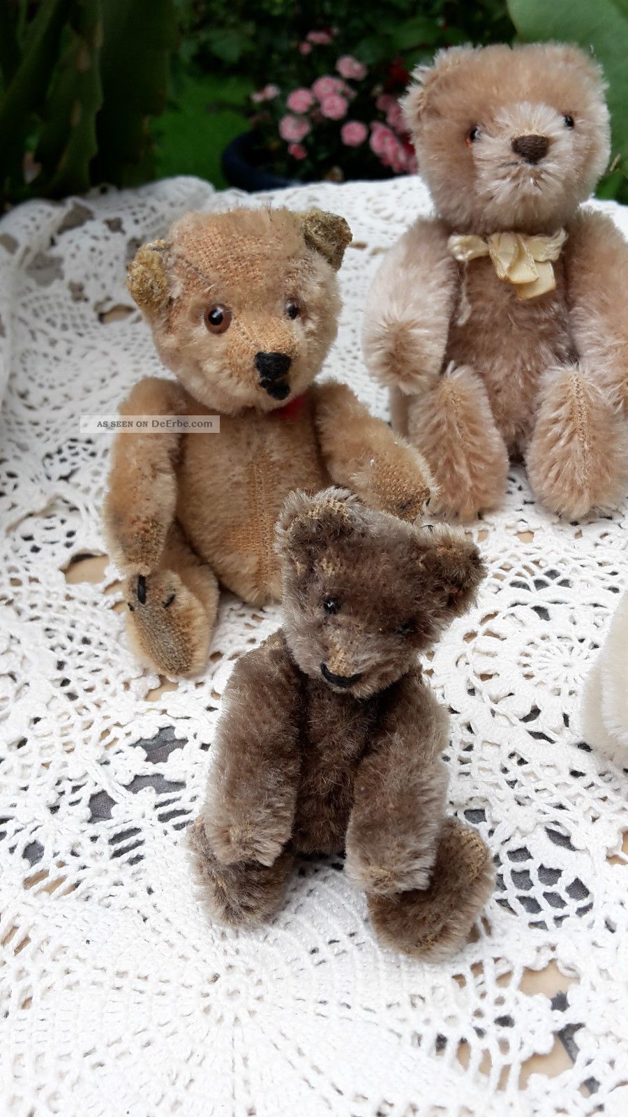 6 Kleine Teddys Bären Auch Steiff Bitte Anschaue