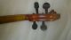 Geige Mit Zettel: Antonius Stradivarius Cremonensis,  Faciebat Anno 1713 Saiteninstrumente Bild 4