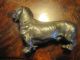 Wiener Bronze F.  X.  Bergmann Große Dackel Rüde Um 1900 Museal Rrrrrr 1900-1949 Bild 1