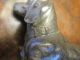 Wiener Bronze F.  X.  Bergmann Große Dackel Rüde Um 1900 Museal Rrrrrr 1900-1949 Bild 7