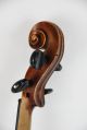 Alte Deutsche Geige Um 1880 Saiteninstrumente Bild 4