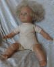 Schildkröt Puppe Gefertigt 1945 - 1970 Ca.  50 Cm Groß Schildkröt Bild 1