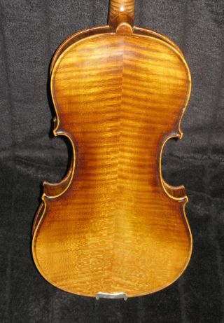 Alte/ 4/4 Geige Mit Zettel Bild
