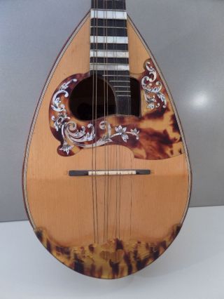 Raffaele Calace Figlio Alte Mandoline Old Italian Mandolin No Guitar Antique Bild
