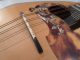 Raffaele Calace Figlio Alte Mandoline Old Italian Mandolin No Guitar Antique Saiteninstrumente Bild 8