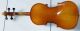 ,  Gebrauchte Geige Von Blessing,  53 Cm, Saiteninstrumente Bild 2