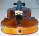,  Gebrauchte Geige Von Blessing,  53 Cm, Saiteninstrumente Bild 3