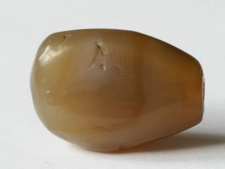 Ancient Rare Western Asian Agate E Bead Bild