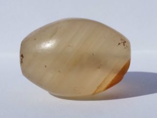 Ancient Rare Banded Western Asian Agate Bead (22mm X 16mm) Bild