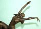 Bronzefigur / Bronzeskulptur/bronze/ Tänzerin / Figur / Skulptur /höhe Ca.  47 Cm Bronze Bild 4