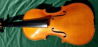 Alte Geige,  4/4 Violine,  Herold&meinel Klingental Bild