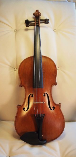 Alte 4/4 Ital.  ? Geige,  Violine Mit Inschrift Zettel Aus Nachlass Erbschaft Bild