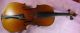 Uralt Korpus,  Bogen Violine Geige Um 1900 Bogen Top Saiteninstrumente Bild 2
