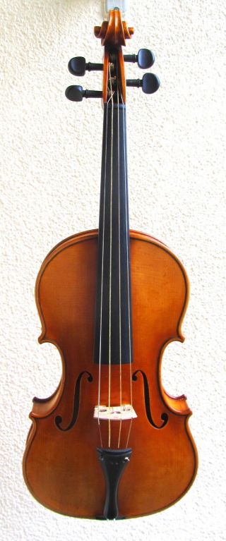 Alte Geige 4/4 Joannes Baptista Guadagnini Parma Gbg P M.  Koffer Bogen Etikett Bild