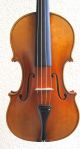Alte Geige 4/4 Joannes Baptista Guadagnini Parma Gbg P M.  Koffer Bogen Etikett Saiteninstrumente Bild 1