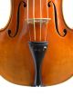 Alte Geige 4/4 Joannes Baptista Guadagnini Parma Gbg P M.  Koffer Bogen Etikett Saiteninstrumente Bild 2