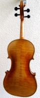 Alte Geige 4/4 Joannes Baptista Guadagnini Parma Gbg P M.  Koffer Bogen Etikett Saiteninstrumente Bild 4