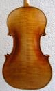 Alte Geige 4/4 Joannes Baptista Guadagnini Parma Gbg P M.  Koffer Bogen Etikett Saiteninstrumente Bild 5