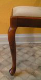 Antik Stuhl Chippendale Wiener Geflecht Korbgeflecht Polsterstuhl Massivholz Stühle Bild 5