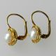 Sehr Schöne Alte 585er Gold Ohrringe Mit Echten Perlen - S4514 Schmuck & Accessoires Bild 1