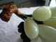 Edelstein Traube Aus China Jade Gemstone Grape Uva Giada Jade Figur Alt Entstehungszeit nach 1945 Bild 1