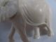 Prachtvolle Alte Bein Figur Elefant,  Massiv,  Feine Beinarbeiten 100 G. 1950-1999 Bild 9