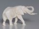 Prachtvolle Alte Bein Figur Elefant,  Massiv,  Feine Beinarbeiten 100 G. 1950-1999 Bild 1